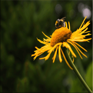 POR LA BIODIVERSIDAD